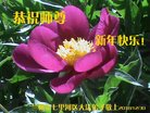 ֹ,󷨵ӹףʦ(22)