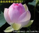 ֹ,󷨵ӹףʦ(22)