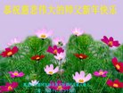 ֹ,󷨵ӹףʦ(23)