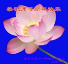 ���ֹ�,�����󷨵��ӹ�ףʦ�������(31��)