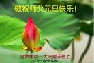 ֹ,󷨵ӹףʦ(22)