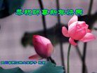 ֹ,Ĵ󷨵ӹףʦ(20)