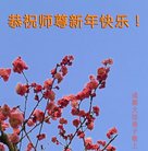 ֹ,ɶ󷨵ӹףʦ(22)