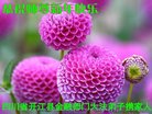 ֹ,Ĵ󷨵ӹףʦ(20)