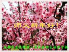 Published on 2/12/2018 ���ֹ�,����ϵͳ�󷨵��ӹ�ףʦ�������(22��)