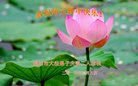 ֹ,Ĵ󷨵ӹףʦ(22)