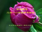ֹ,󷨵ӹףʦ(22)