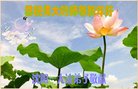 ֹ,󷨵ӹףʦ(20)