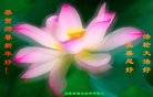 ֹ,󷨵ӹףʦ(23)