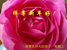 ֹ,ɳ󷨵ӹףʦ(21)