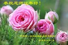 Published on 2/15/2018 ���ֹ�,�ߴ崮�����ഫ����ʦ������Ҳ��