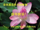Published on 2/15/2018 ���ֹ�,��½30ʡ���������󷨵������ʦ����