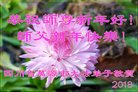 ֹ,Ĵ󷨵ӹףʦ(23)