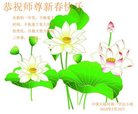 ֹ,ϴ󷨵ӹףʦ(25)