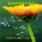 ���ֹ�,�����󷨵��ӹ�ףʦ������(24��)