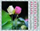 Published on 2/14/2018 ���ֹ�,�������š����취˾�����˴󷨵��Ӹ�ʦ�����