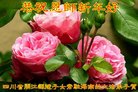 Published on 2/16/2018 ���ֹ�,��½�󷨵��ӹ�ףʦ�������(36��)