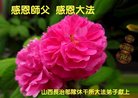 Published on 2/14/2018 ���ֹ�,�������š����취˾�����˴󷨵��Ӹ�ʦ�����