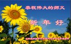 Published on 2/14/2018 ���ֹ�,�������š����취˾�����˴󷨵��Ӹ�ʦ�����
