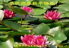 Published on 2/15/2018 ���ֹ�,���������˹�ףʦ������(29��)