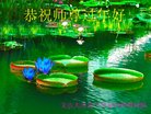 ֹ,ϴ󷨵ӹףʦ(20)