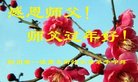 ֹ,Ĵ󷨵ӹףʦ(26)