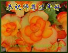 ֹ,󷨵ӹףʦ(33)

