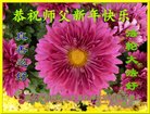 ֹ,󷨵ӹףʦ(33)
