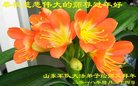 Published on 2/14/2018 ���ֹ�,�������š����취˾�����˴󷨵��Ӹ�ʦ�����