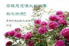 ֹ,ϴ󷨵ӹףʦ(19)