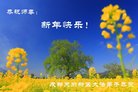 ֹ,ɶ󷨵ӹףʦ(21)