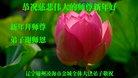 ֹ,ݴ󷨵ӹףʦ(26)