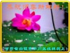 ֹ,󷨵ӹףʦ(23)