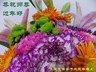 Published on 2/16/2018 ���ֹ�,��½�󷨵��ӹ�ףʦ�������(29��)