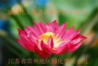 ֹ,մ󷨵ӹףʦ(24)