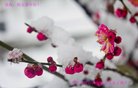 ֹ,󷨵ӹףʦ(25)