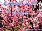 Published on 2/17/2018 ���ֹ�,������ʮ����ҵ�Ĵ�½�󷨵��ӹ�ףʦ�������