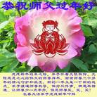 ���ֹ�,�����󷨵��ӹ�ףʦ�������(29��)