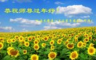 ֹ,ϴ󷨵ӹףʦ(26)