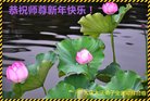 ֹ,󷨵ӹףʦ(24)