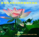 Published on 2/16/2018 ���ֹ�,���󷨵��ӹ�ףʦ�������(30��)