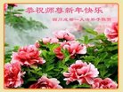 ֹ,ɶ󷨵ӹףʦ(25)