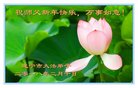 ֹ,Ĵ󷨵ӹףʦ(28)