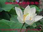 ֹ,ɶ󷨵ӹףʦ(25)