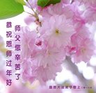 ֹ,󷨵ӹףʦ(28)