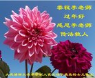 Published on 2/17/2018 ���ֹ�,���״󷨺á���½���ڵø���лʦ��