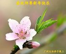 ֹ,㶫󷨵ӹףʦ(31)