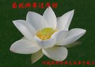 ֹ,ϴ󷨵ӹףʦ(28)