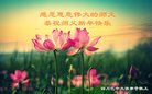 ֹ,Ĵ󷨵ӹףʦ(28)