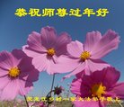 Published on 2/14/2018 ���ֹ�,���󷨵��ӹ�ףʦ�������(20��)